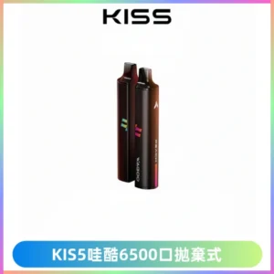 KIS5WAGOO哇酷6500口拋棄式 | 自由混搭雙口味 | 雙芯組合